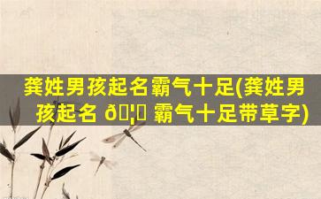 龚姓男孩起名霸气十足(龚姓男孩起名 🦍 霸气十足带草字)